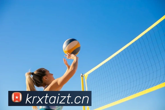 星空网最新地址全站App